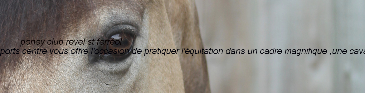 poney club revel st ferréol